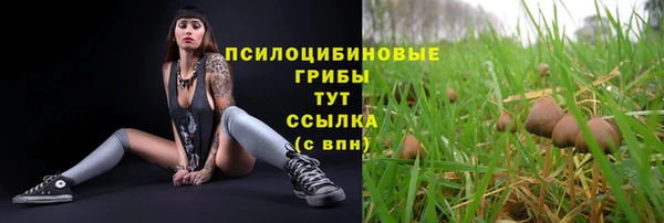 таблы Новокубанск