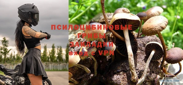 ALPHA-PVP Новозыбков