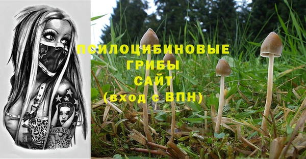 таблы Новокубанск