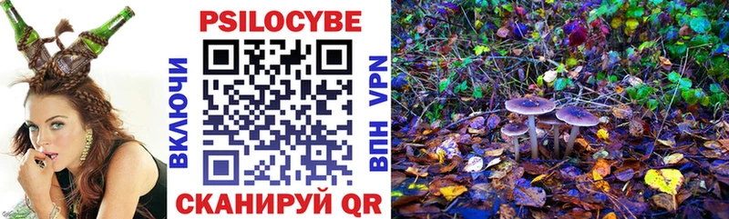 Псилоцибиновые грибы Cubensis  Купить закладки  Дивногорск 